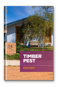 timber-pest