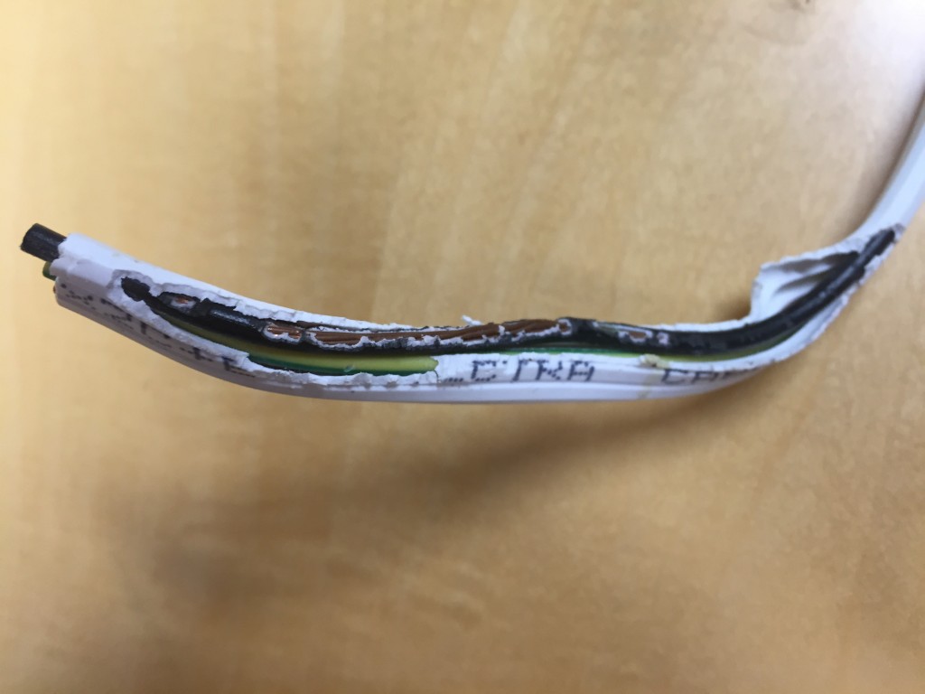 chewed wiring 001