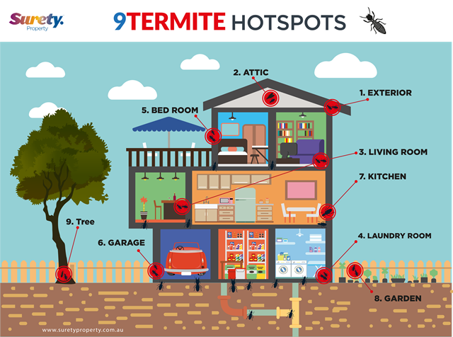Termite Hotspots
