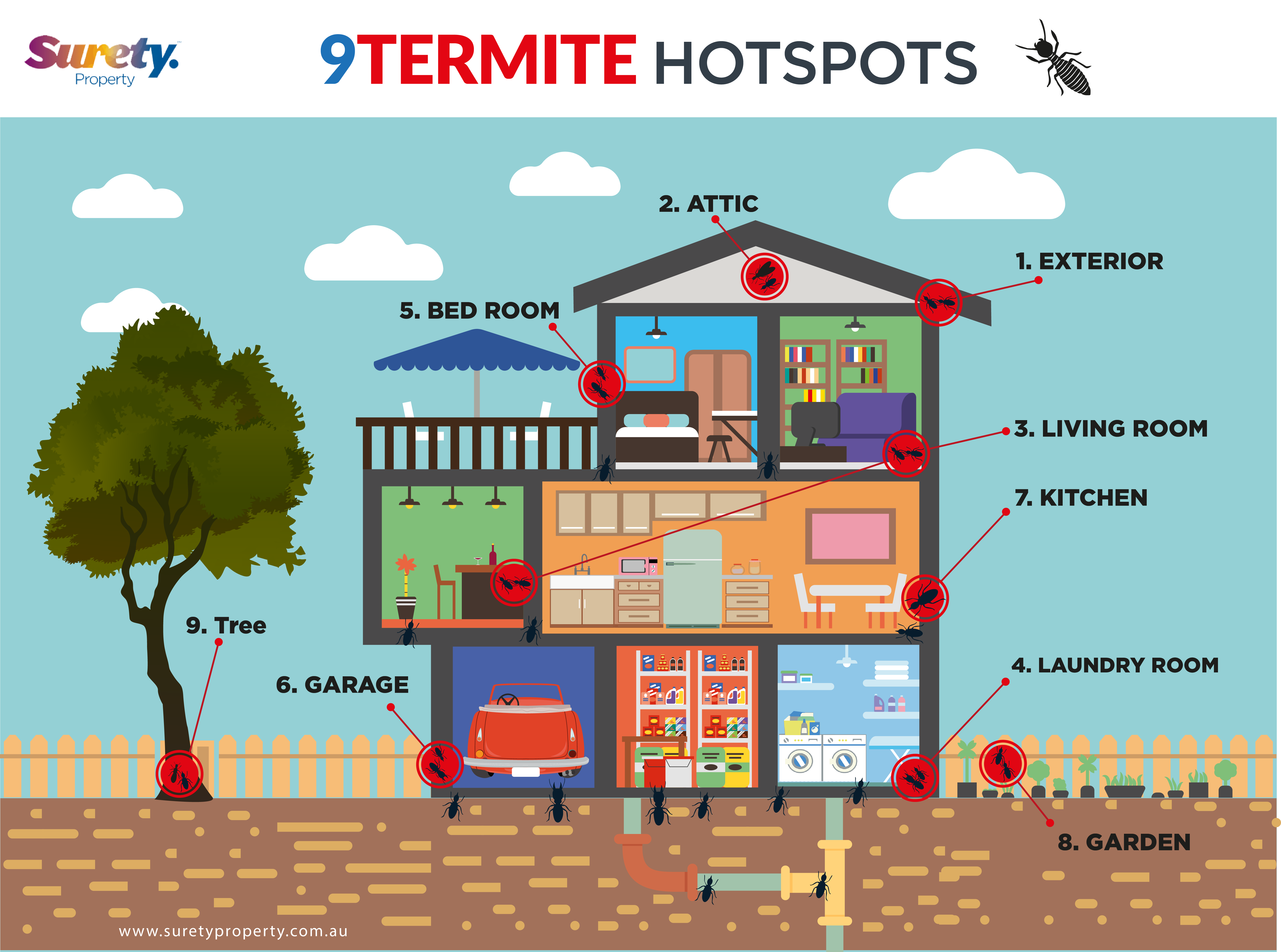 Destructive termites will eat your house where can I find them in my house.